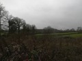 #4: West
