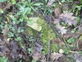 #5: CP