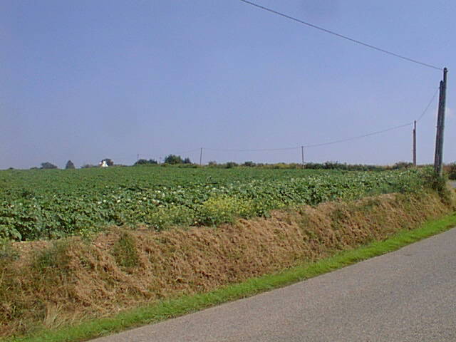 More French countryside