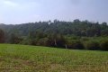 Visit #1: [09-Jul-99]
