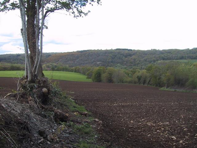 View north west from the spot