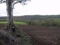 #2: View north west from the spot