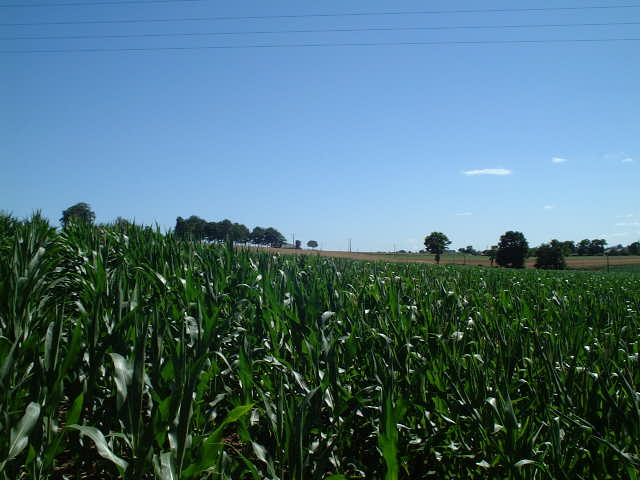 View from the confluence towards West