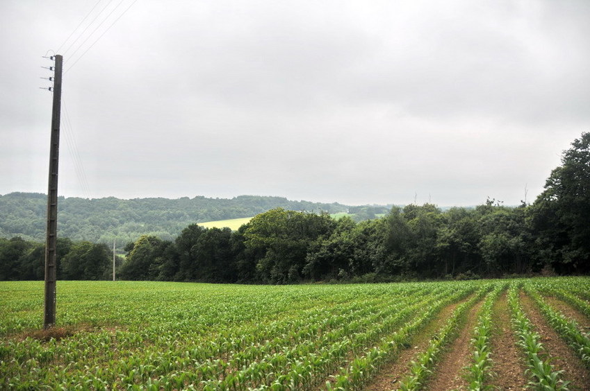 View south / Blick nach Süden