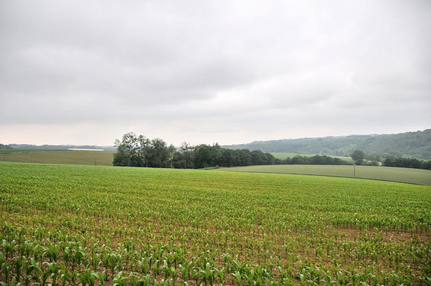 View east / Blick nach Osten