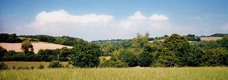 #1: The panorama looking north-east from the confluence