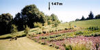 #3: Nice garden