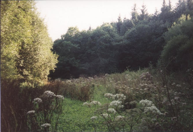 View to the south (from behin an hedge blocking the view)