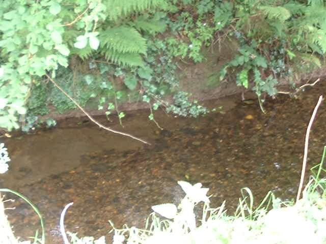 Small river at the confluence