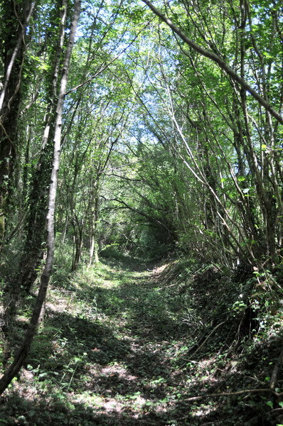 Path to Confluence / Der Weg zum Confluence Punkt