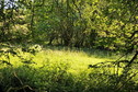 #2: View north / Blick nach Norden