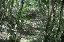 #4: View south / Blick nach Süden