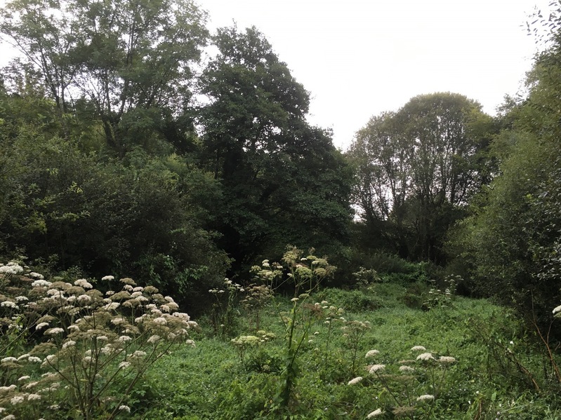 The Confluence from 15 m distance