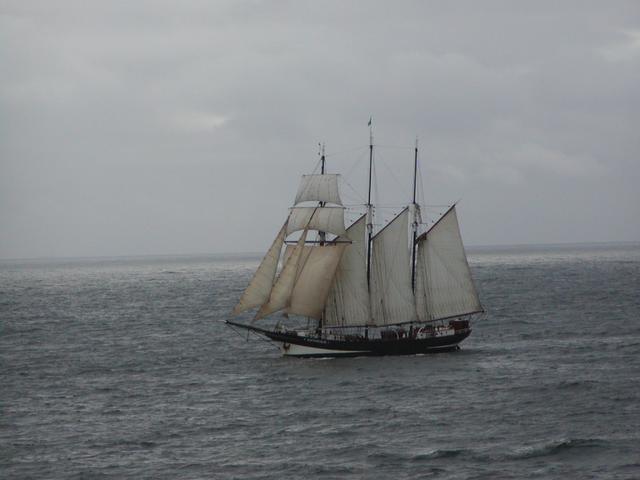 The Dutch schooner "Oosterschelde"