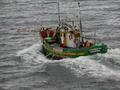 #4: Sardine fishing boat