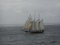 #5: The Dutch schooner "Oosterschelde"