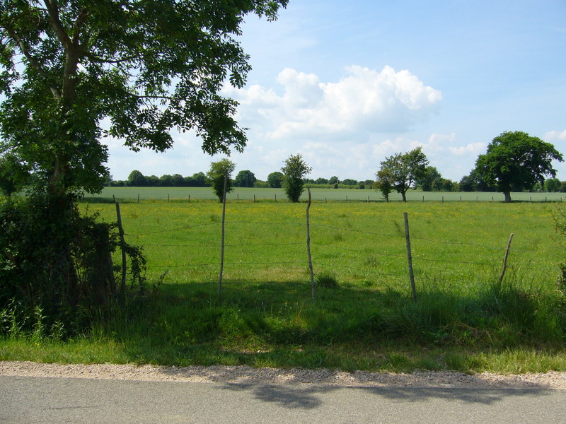 View towards the CP in the meadow, 110 metres away