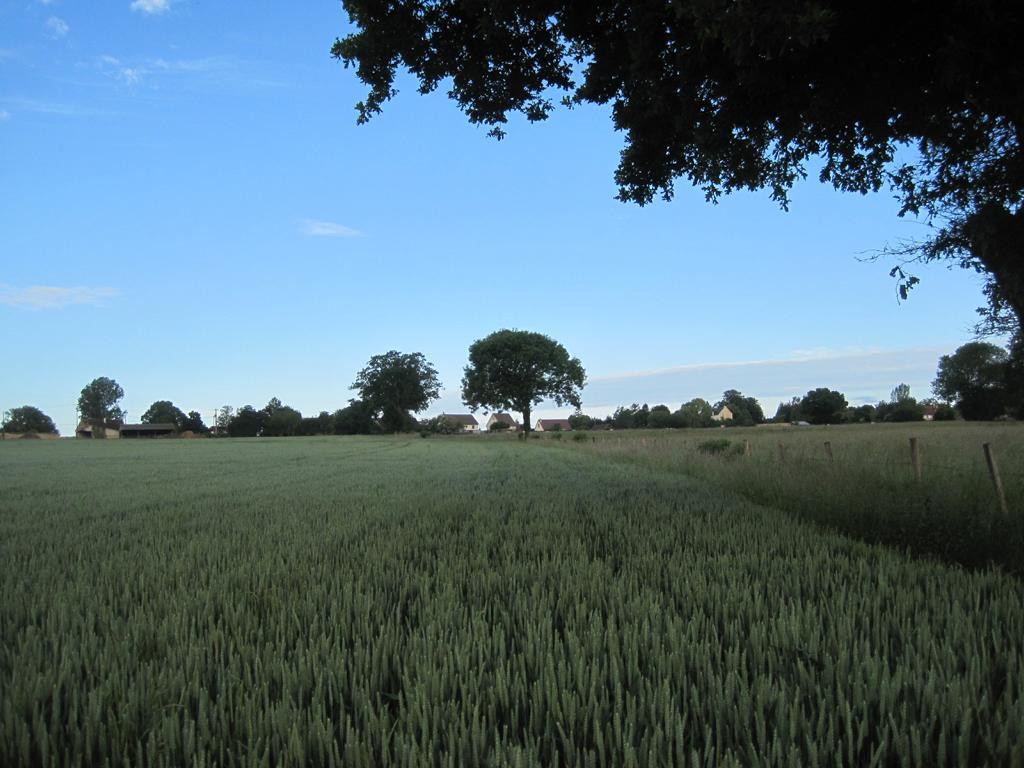 Norden; view north