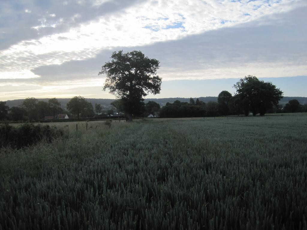 Süden; view south