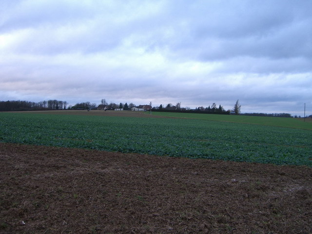 View north / Blick nach Norden