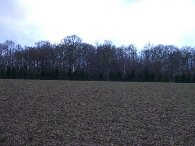 View south / Blick nach Süden