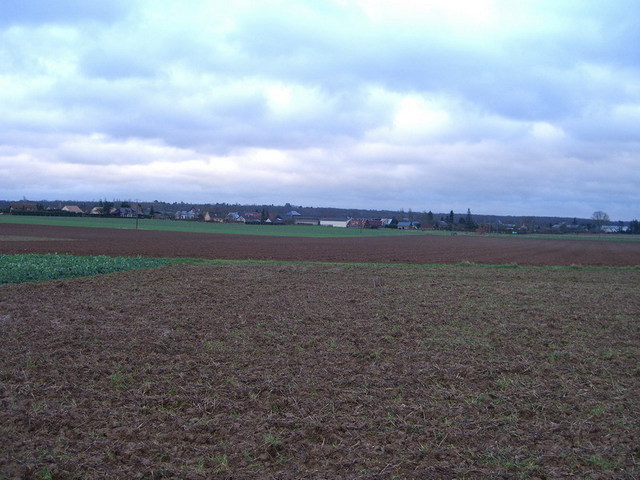 View east / Blick nach Osten