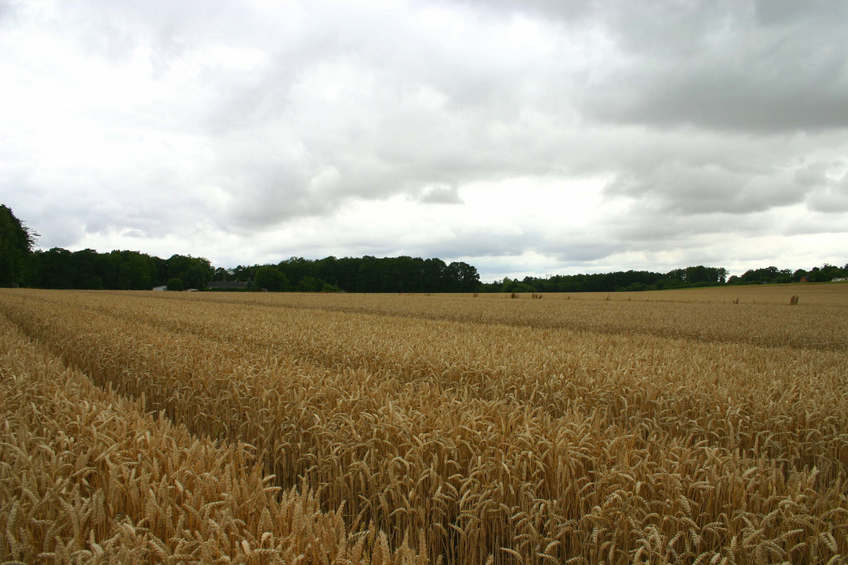 View to the west and overview