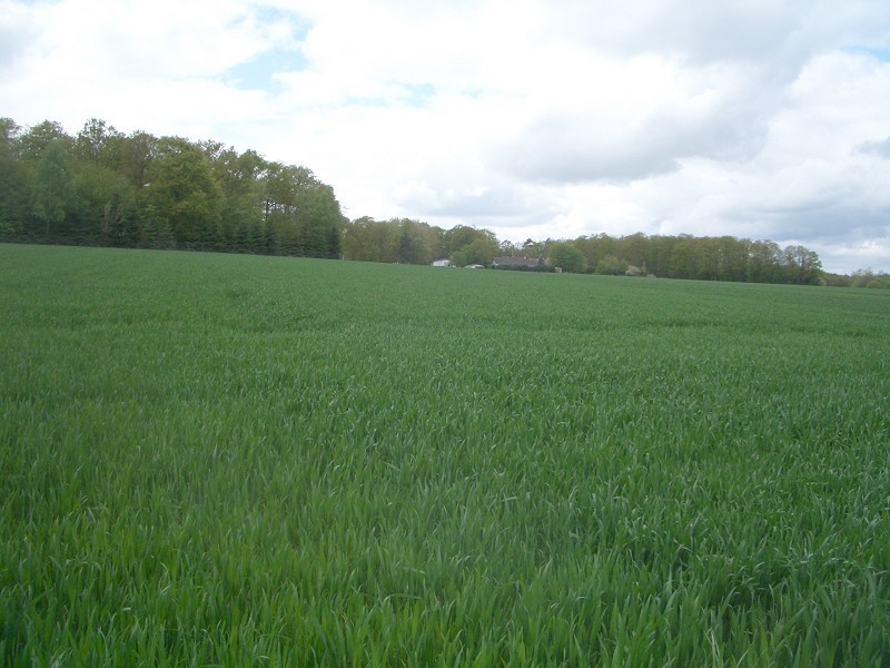 The DCP at 75m, looking Northwest