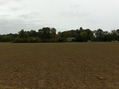 #2: View to south