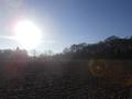 #3: South