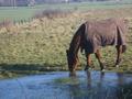#6: Onlooker