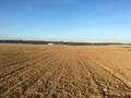 #3: View to the East