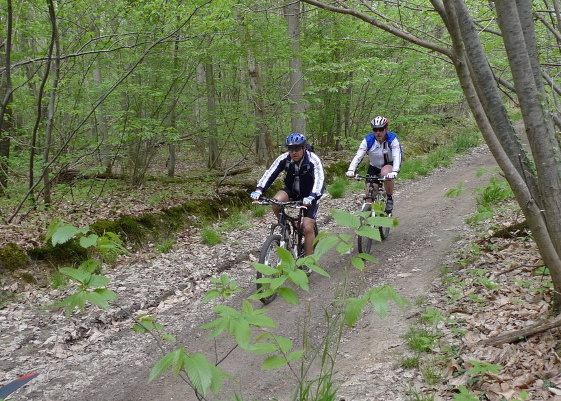 Mountain biking in the forest