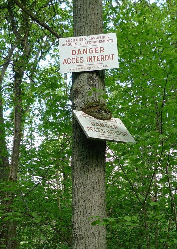 Danger!