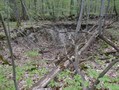 #6: Pit in the forest