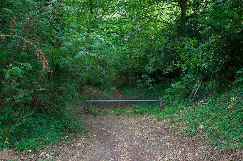 Where the residential street ends, and the forest path begins