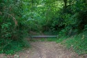 #9: Where the residential street ends, and the forest path begins