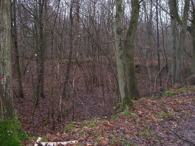 View to the confluence point / Der Blick zum Confluence-Punkt