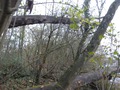 #3: North view