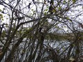 #4: East view