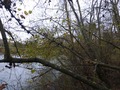 #5: South view