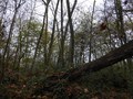 #6: West view