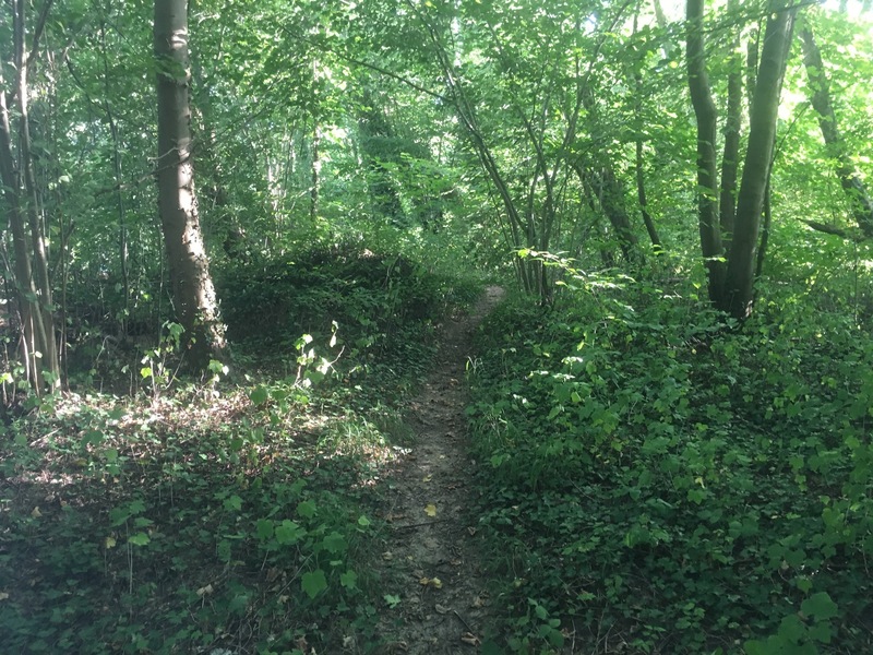 Footpath to the Confluence