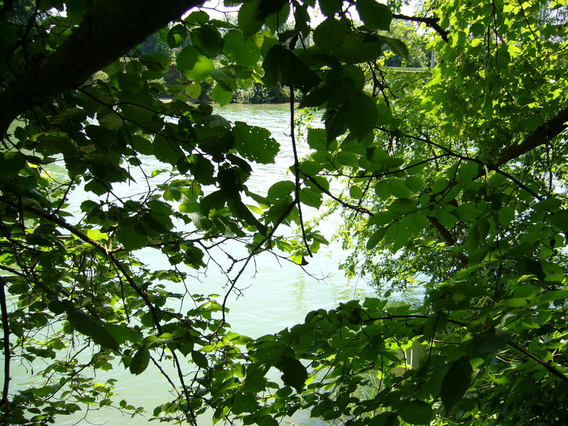 View South from CP: river