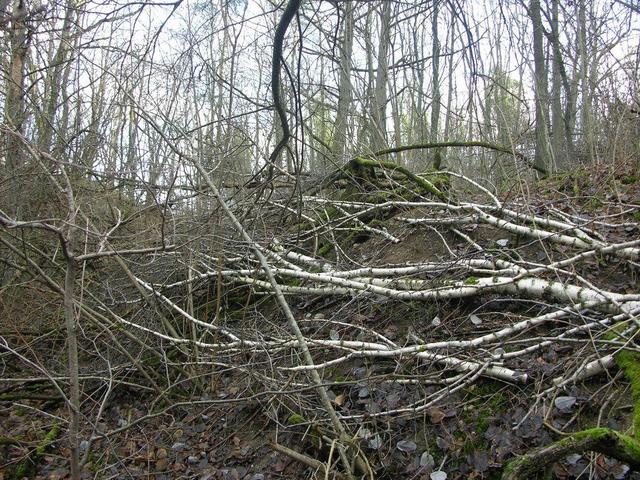 View in western direction / Blick in westliche Richtung