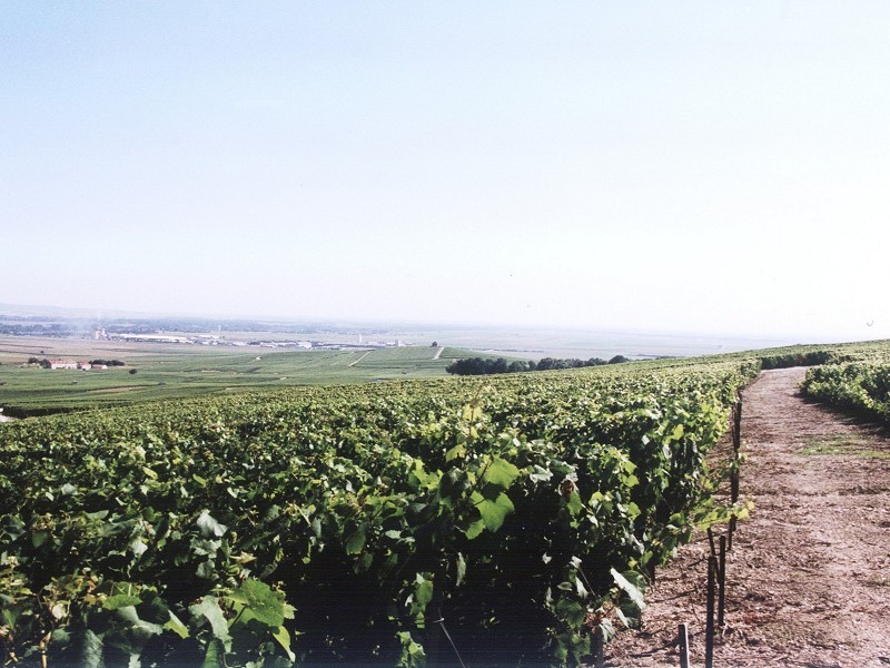 Looking north-east from 120m NNE of CP