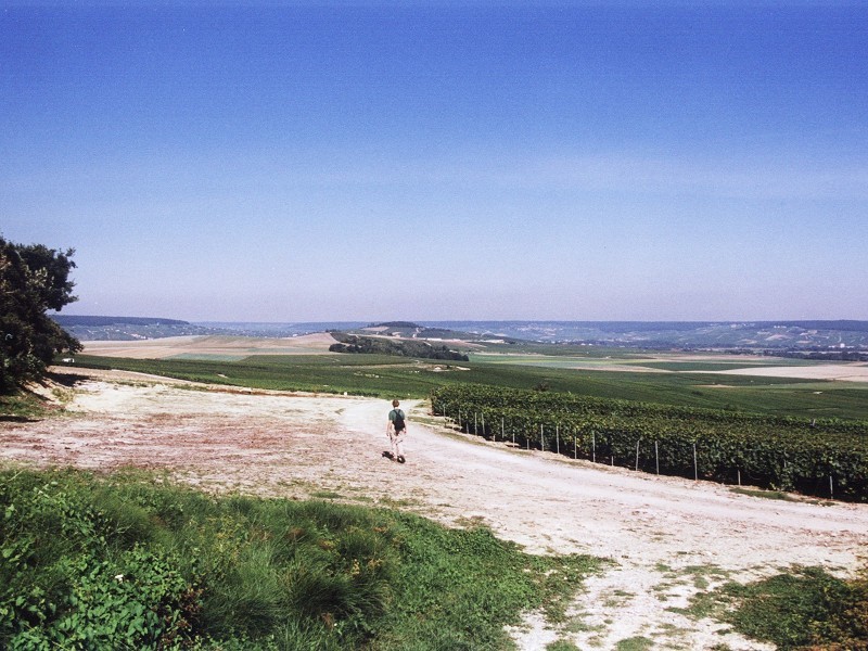 Looking north-west from 120m NNE of CP