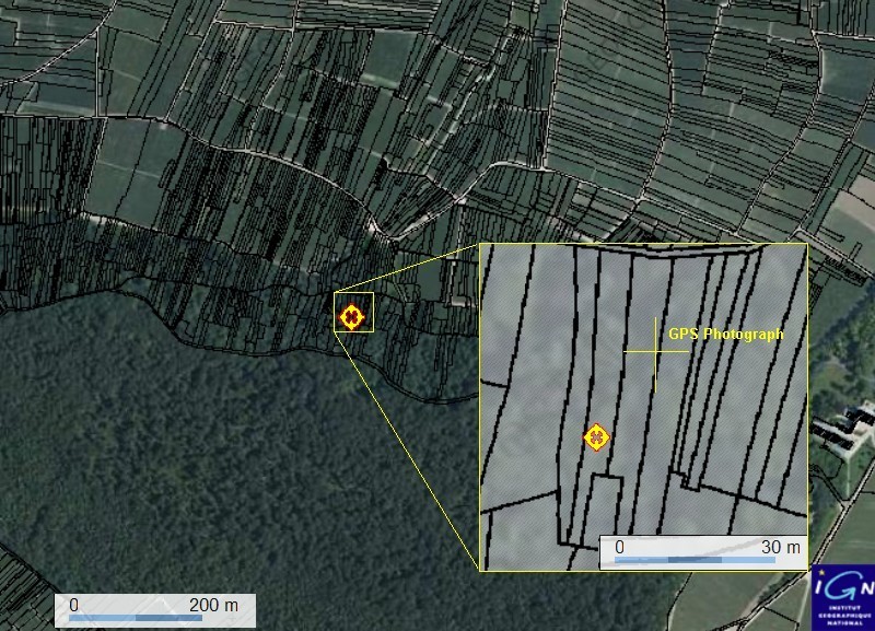 A lot of small cadastral parcels at the edge of the forest
