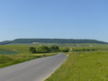 #6: View from Chouilly towards the point in the forest in the centre of the photo