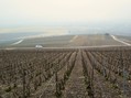 #6: The vineyards of Champagne